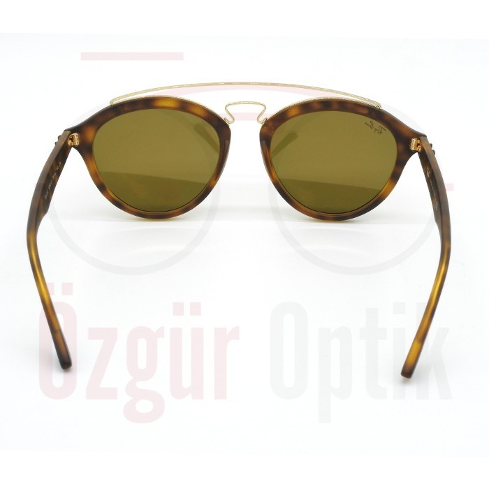 Güneş Gözlüğü Modelleri, Güneş Gözlüğü Fiyatları | Özgür Optik