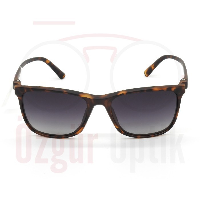 Güneş Gözlüğü Modelleri, Güneş Gözlüğü Fiyatları | Özgür Optik