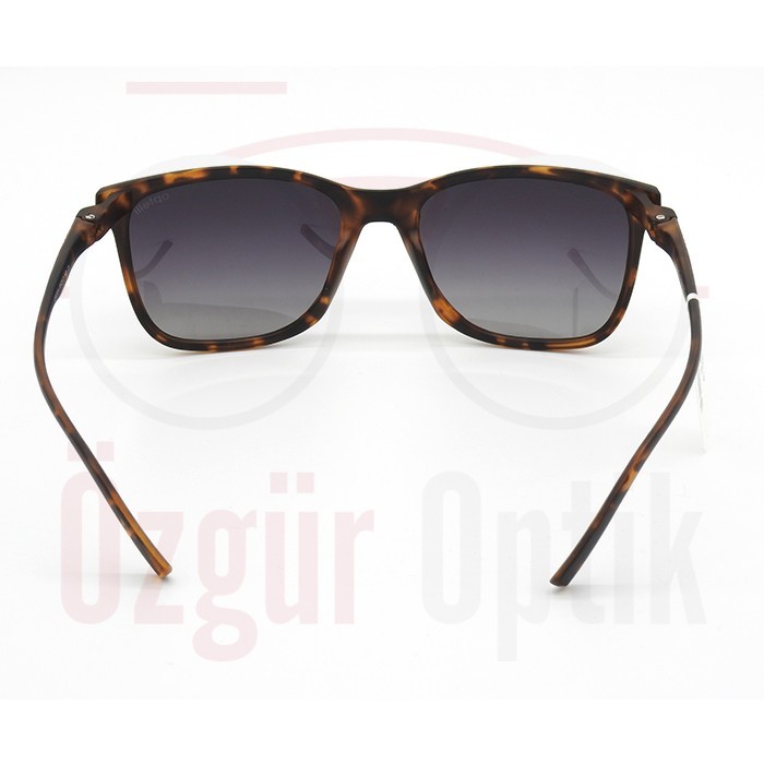 Güneş Gözlüğü Modelleri, Güneş Gözlüğü Fiyatları | Özgür Optik