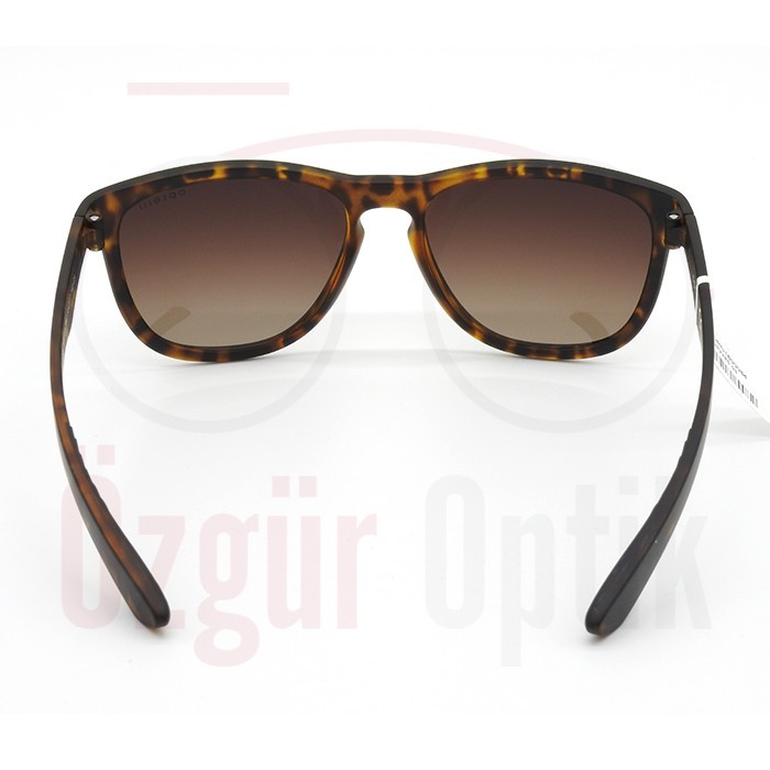 Güneş Gözlüğü Modelleri, Güneş Gözlüğü Fiyatları | Özgür Optik