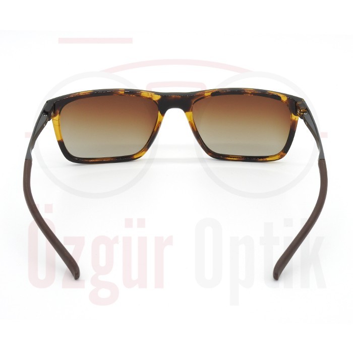 Güneş Gözlüğü Modelleri, Güneş Gözlüğü Fiyatları | Özgür Optik
