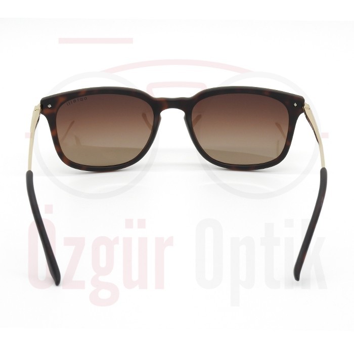 Güneş Gözlüğü Modelleri, Güneş Gözlüğü Fiyatları | Özgür Optik
