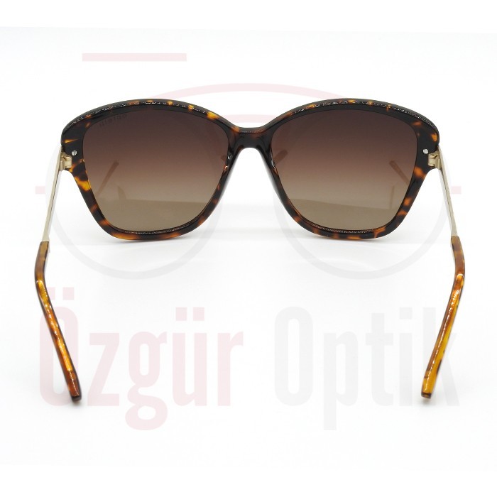 Güneş Gözlüğü Modelleri, Güneş Gözlüğü Fiyatları | Özgür Optik