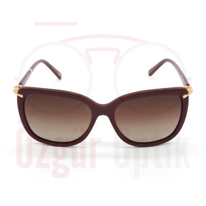 Güneş Gözlüğü Modelleri, Güneş Gözlüğü Fiyatları | Özgür Optik