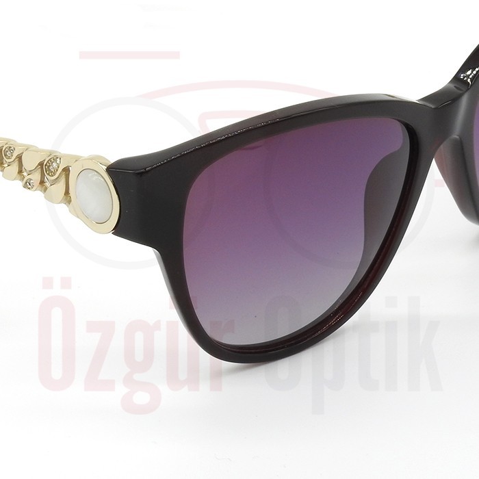 Güneş Gözlüğü Modelleri, Güneş Gözlüğü Fiyatları | Özgür Optik