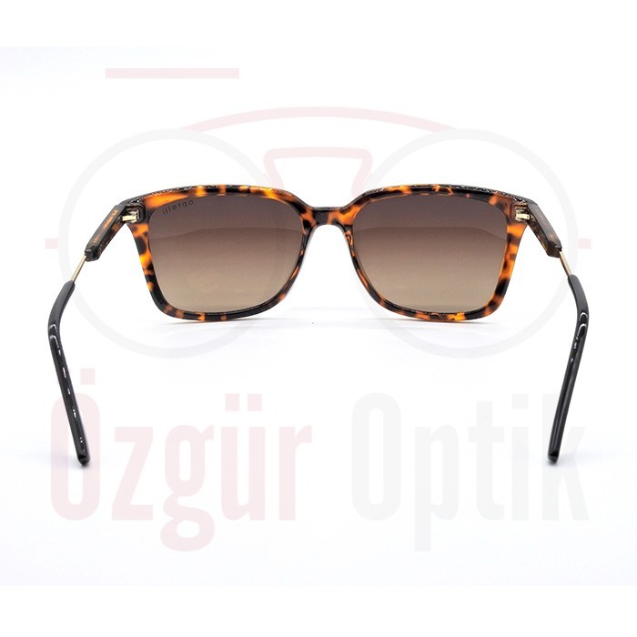 Güneş Gözlüğü Modelleri, Güneş Gözlüğü Fiyatları | Özgür Optik