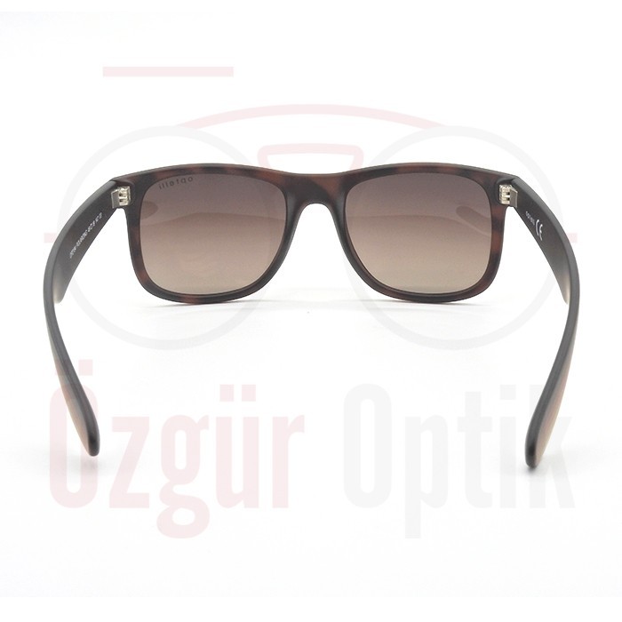 Güneş Gözlüğü Modelleri, Güneş Gözlüğü Fiyatları | Özgür Optik