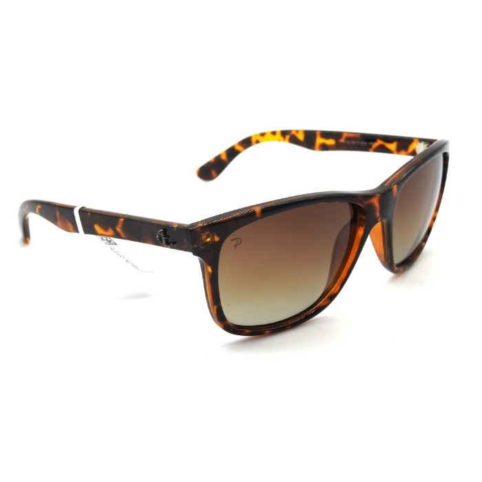 Güneş Gözlüğü Modelleri, Güneş Gözlüğü Fiyatları | Özgür Optik