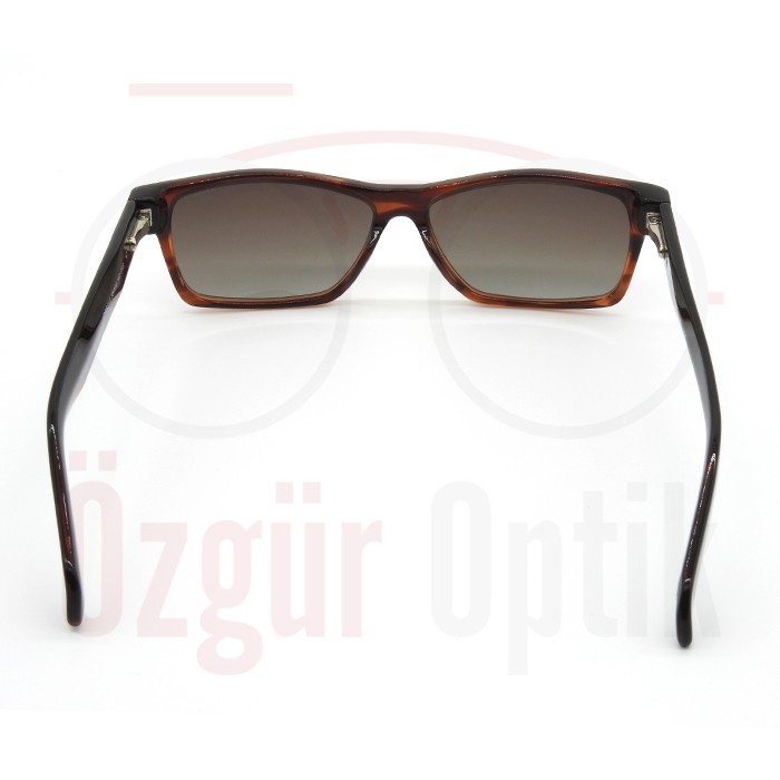 Güneş Gözlüğü Modelleri, Güneş Gözlüğü Fiyatları | Özgür Optik