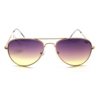 Lee Cooper Bayan Güneş Gözlüğü LC1065 C10