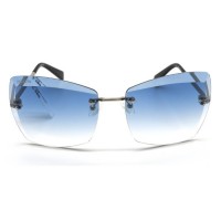 Polo Vintage Bayan Güneş Gözlüğü PV1841 C4