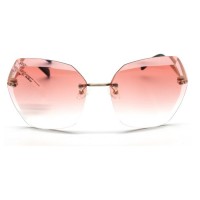 Polo Vintage Bayan Güneş Gözlüğü PV1839 C4