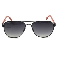 Polo Vintage Polarize Erkek Güneş Gözlüğü PV1828 C2