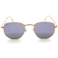 Polo Vintage Bayan Güneş Gözlüğü PV1801 C2